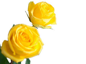 Dine uymayan uyduruk, merduddur kabul edilemez