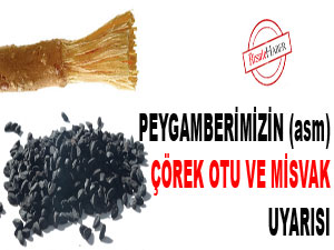 Peygamberimizin (asm) çörek otu ve misvak uyarısı
