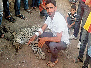 Leoparı öldüren çobana para cezası verilecek