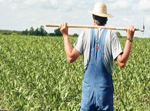 Ege Bölgesi'nin başı büyük dertte