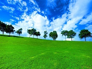 Milyonlarca hektar arazi kuraklıktan kaybedildi