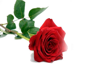 Elinizden geldiğince çok istiğfar edin