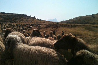 Göçebeler yaylalardan dönmeye başladı