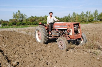 Manavgat'ta buğday ekimi başladı