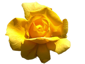 Ramazan dışında en faziletli oruç Muharremde tutulandır