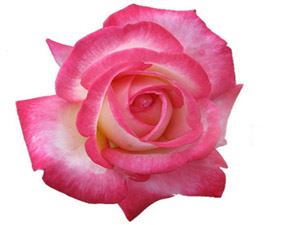 Kişinin parmakla gösterilir olması kötülük olarak ona yeter