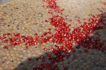 Faydaları saymakla bitmiyor