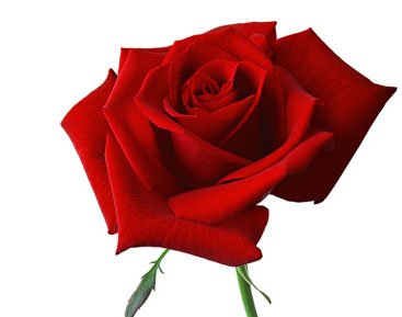 Gece namaza kalktığınızda misvak kullanın