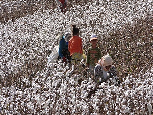 İşsizlik için kent-kır ayrımına yeni tanım aranıyor