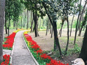 Yıldız Parkı orijinal haline getirilecek
