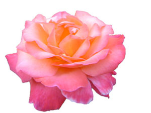 Kim ki musibete uğramış birisini teselli ederse