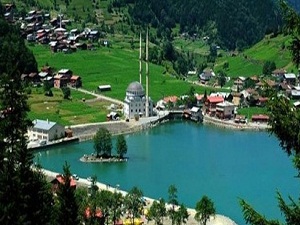 Doğu Karadeniz'de ocak ayında 425 maddeden 236'sının fiyatı arttı