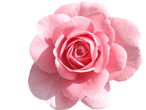 Kim bir ilmi öğrenmek için yolculuğa çıkarsa