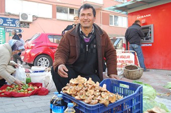 Bursa'da havalar kurak gitti, melkinin fiyatı fırladı