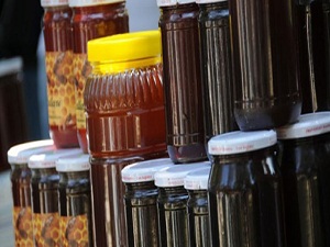 Kestane balı kış hastalıklarının ilacı