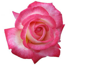 Kişinin mâlâyâni şeyleri terki şundan ileri gelir