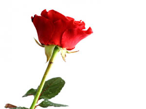 Kim Cuma namazından sonra bu 3 sureyi okursa