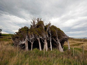 Rüzgârları bir müjdeci olarak gönderen, O’dur