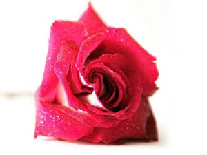 Şeytan insana kanın nüfuz ettiği gibi nüfuz eder!