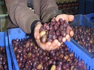 'Eşek' zeytini zam şampiyonu