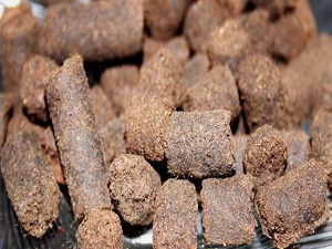 Antibiyotik sorununa müthiş çözüm!