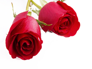 Otururken, yatarken, yürürken Allah'ı zikretmeyen