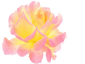 Ayakkabıyı giyerken sağdan, çıkarırken soldan