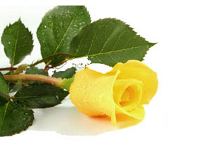 Bu kişi eve dönünceye kadar namazda sayılır