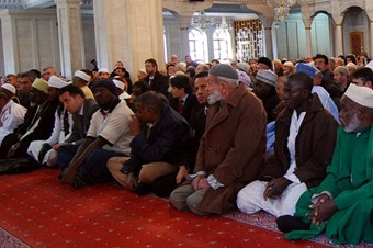 Ezher'den Angola'ya heyet gönderilmesi çağrısı