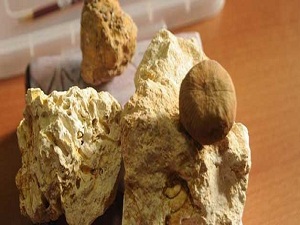 Doğal kaynak ve fosil zengini ilimiz!