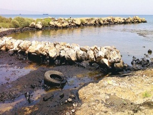 Çevreyi kirletenlere ceza yağdı 57 milyon TL