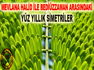 Mevlana Halid ile Bediüzzaman arasındaki yüz yıllık simetriler