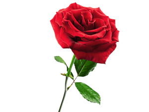 Sadaka, zengine ve güçlüye helal değildir