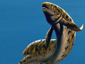 Bu balıklar 4 yıl susuz yaşayabiliyor