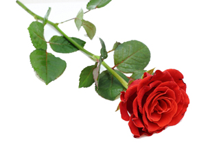 Bildiklerinizle amel etmedikçe, Allah sizi faydalandırmaz