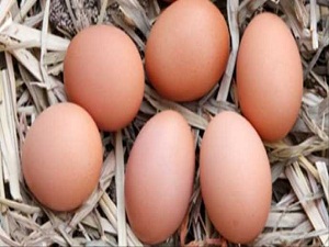 Yumurta yıkanmalı mı?