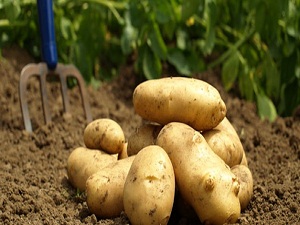 Doğu Marmara'nın zam şampiyonu belli oldu