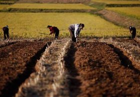 Dünyayı Bekleyen Tehlike!