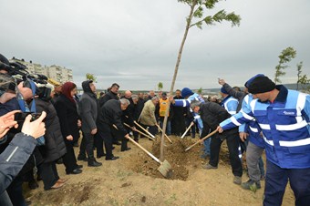 İzmir’e 582 bin ağaç dikilecek