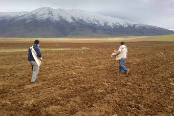 Bitlis’te kış öncesi son buğday ekimleri yapılıyor