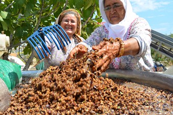 Emeği de çok şifası da
