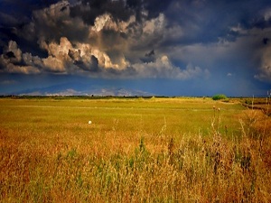 Muğla'da 456 bin dekar arazi suya kavuşuyor