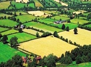 3 büyük proje arsa fiyatlarını uçurdu