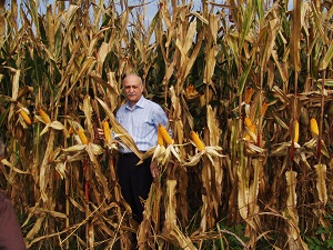 GAP devreye girdi, buğday üretimi 11 yılda yüzde 113,1 arttı