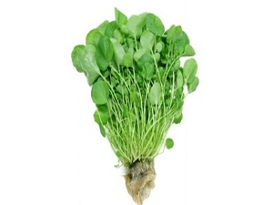 Demir deposu yeşillik