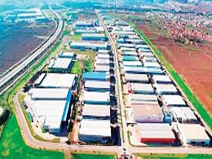 Çivi çakmayanın parseli geri alındı