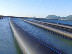 Asrın projesinde işler yolunda