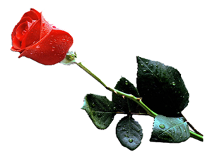 2 kişinin yiyeceği 3, 3 kişinin yiyeceği 4 kişiye yeter