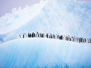 Dünyanın en soğuk noktası bulundu