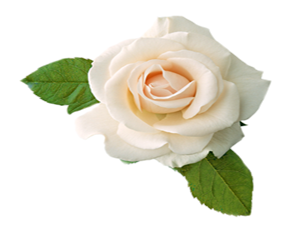 Müslüman kardeşinde şunları görmezsen hayır bekleme